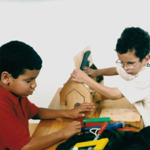Dois meninos de aproximadamente 5 anos, estão sentados em frente à uma mesa de madeira, onde está o brinquedo Trincos e Truques, com as mãos sobre alguns dos objetos do brinquedo.